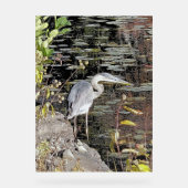 Great Blue Heron on Pond アクリルサイン (正面)
