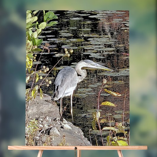 Great Blue Heron on Pond アクリルサイン (ニュートラル)