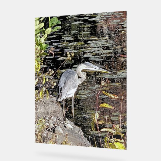 Great Blue Heron on Pond アクリルサイン (傾斜)