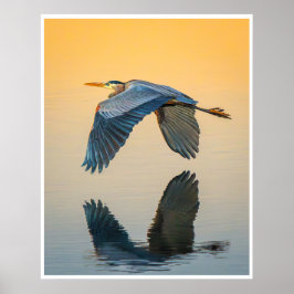 Great Blue Heron Reflection Wildlife Bird Photo ポスター
