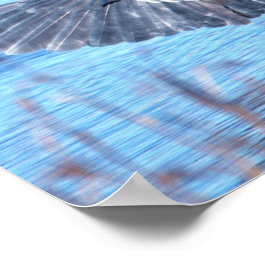 Great Blue Heron Spreading Wings Poster ポスター (角)