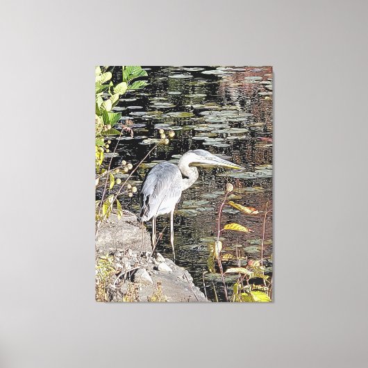 Great Blue Heron Stretched Canvas Print キャンバスプリント (正面)