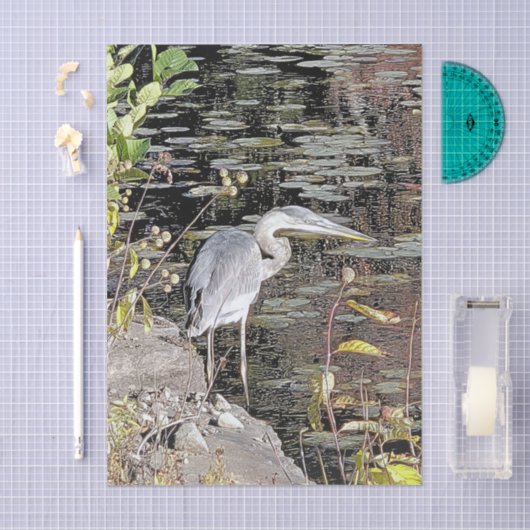 Great Blue Heron Stretched Canvas Print 薄葉紙 (クラフト)