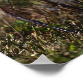 Great Blue Heron water bird found throughout ポスター (角)