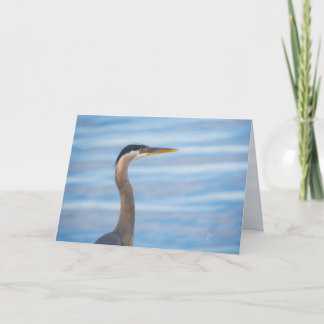 Great Blue Heron Wildlife Bird Photography Blank シーズンカード