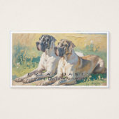 Great Dane  (正面)