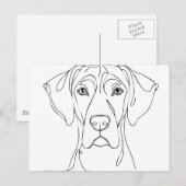 Great Dane Head drawing II ポストカード (正面/裏面)