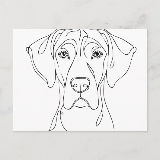 Great Dane Head drawing II ポストカード (正面)