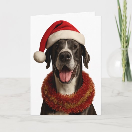 Great Dane in a Santa hat Christmas card カード (正面)