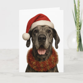 Great Dane in a Santa hat Christmas card カード