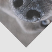 Great Dane Nose  薄葉紙 (詳細)
