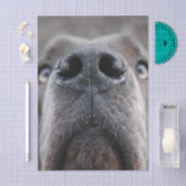 Great Dane Nose  薄葉紙 (クラフト)
