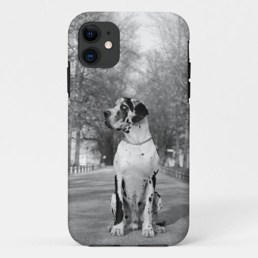 Great Dane Personal Photography Case Case-Mate iPhoneケース (裏面)