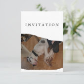 Great Dane Photo invitation  招待状 (スタンド正面)