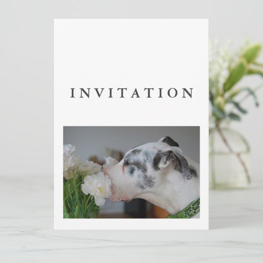 Great Dane Photo invitation 招待状 (スタンド正面)