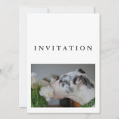 Great Dane Photo invitation  招待状 (正面)