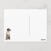 Great Dane Photography  ポストカード (裏面)