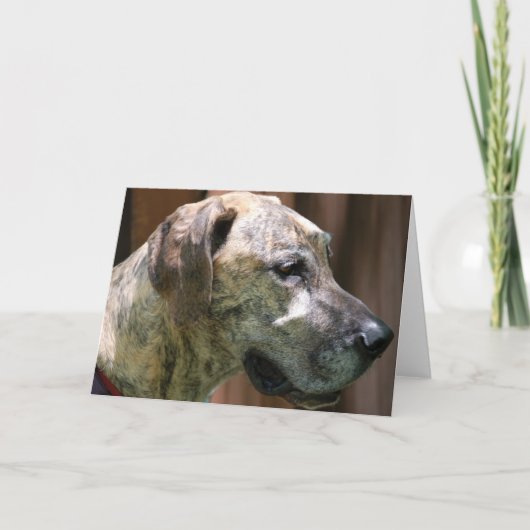 Great Dane Profile Greetingカード カード (正面)