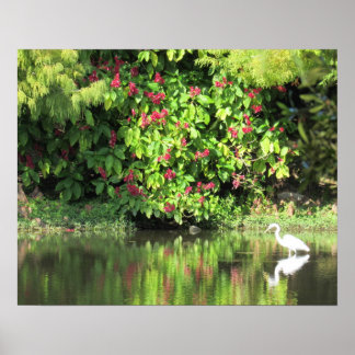 Great Egret Fishing - Beautiful Landscape ポスター