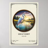 Great Egret Zoology Series ポスター (正面)