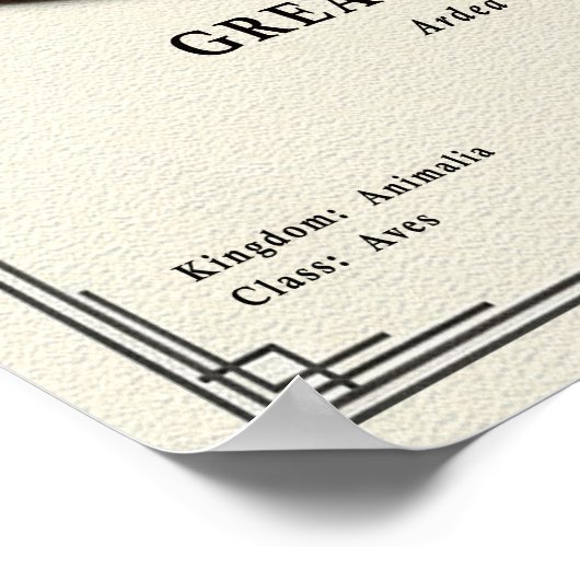 Great Egret Zoology Series ポスター (角)