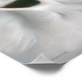 Great Egrets in Love Poster ポスター (角)