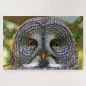Great Grey Owl Face Difficult 1,000 Pieces ジグソーパズル (横)