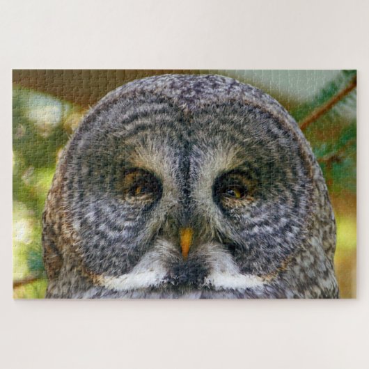 Great Grey Owl Face Difficult 1,000 Pieces ジグソーパズル (横)