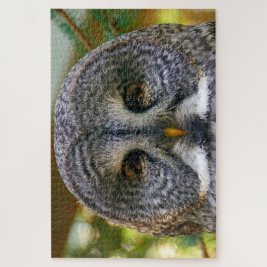 Great Grey Owl Face Difficult 1,000 Pieces ジグソーパズル (縦)