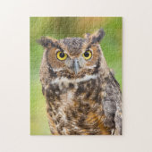 Great Horned Owl ジグソーパズル (縦)