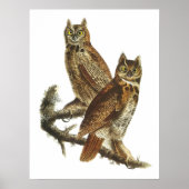 Great Horned Owl ポスター (正面)