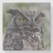 Great Horned Owl Stone Coaster ストーンコースター (正面)