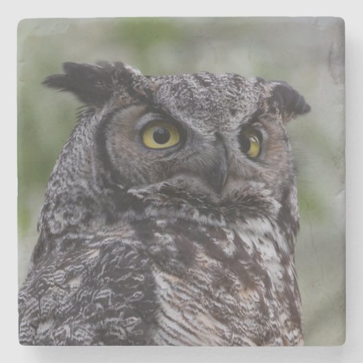 Great Horned Owl Stone Coaster ストーンコースター (正面)