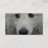 great-pyrenees-20.jpg 名刺 (裏面)