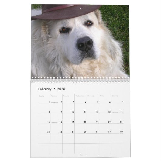 Great Pyrenees Calendar カレンダー (2月 2026)