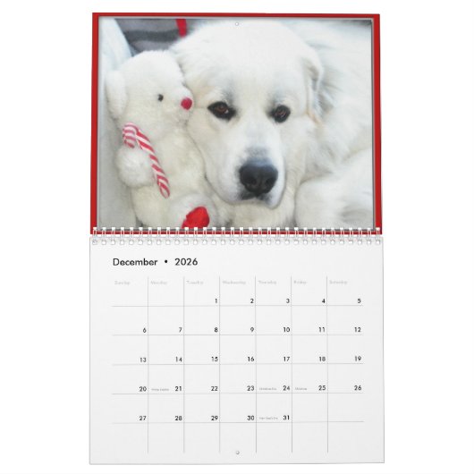 Great Pyrenees Calendar カレンダー (12月 2026)
