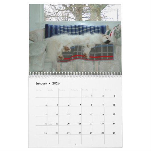Great Pyrenees Calendar カレンダー (1月 2026)