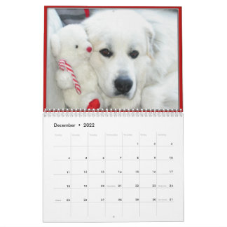Great Pyrenees Calendar カレンダー