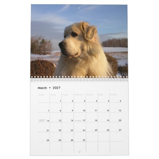 Great Pyrenees Calendar カレンダー (3月 2027)