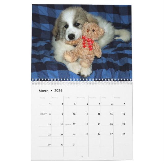 Great Pyrenees Puppy Calendar カレンダー (3月 2026)