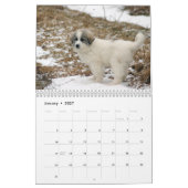 Great Pyrenees Puppy Calendar カレンダー (1月 2027)