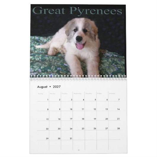 Great Pyrenees Puppy Calendar カレンダー (8月 2027)