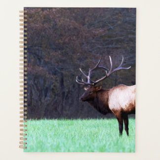 Great Smoky Mountain Elk 2026 Planner プランナー手帳