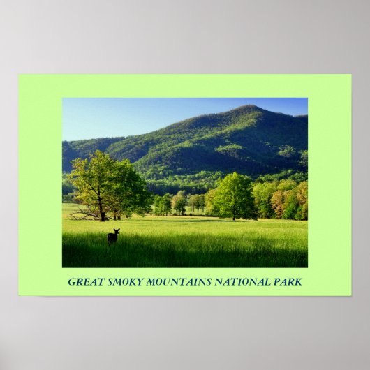 Great Smoky Mountains National Park Photo Poster ポスター (正面)