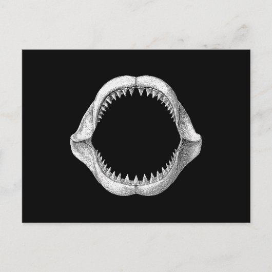 Great White Shark Jaw  シーズンポストカード (正面)
