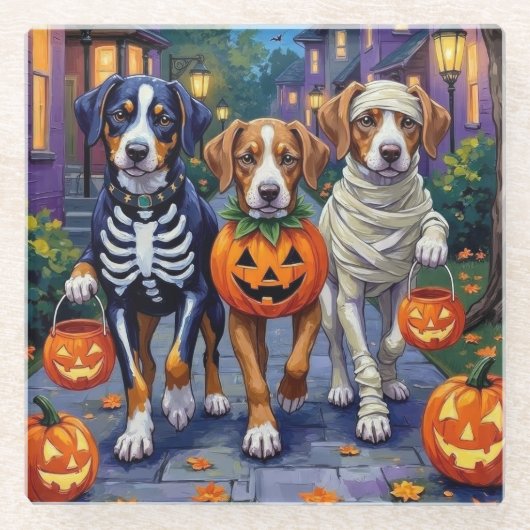 Greater Swiss Mountain Trick-or-Treating Halloween ガラスコースター (正面)