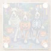 Greater Swiss Mountain Trick-or-Treating Halloween ガラスコースター (裏面)