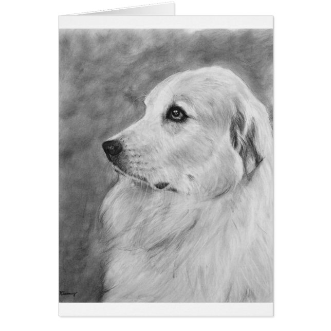 GreatPyreneese.jpg (正面)