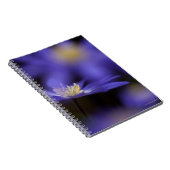 Grecian Windflower、シカの抵抗力がある青い花 ノートブック (右側)