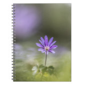 Grecian windflower Nature Photo ノートブック (正面)